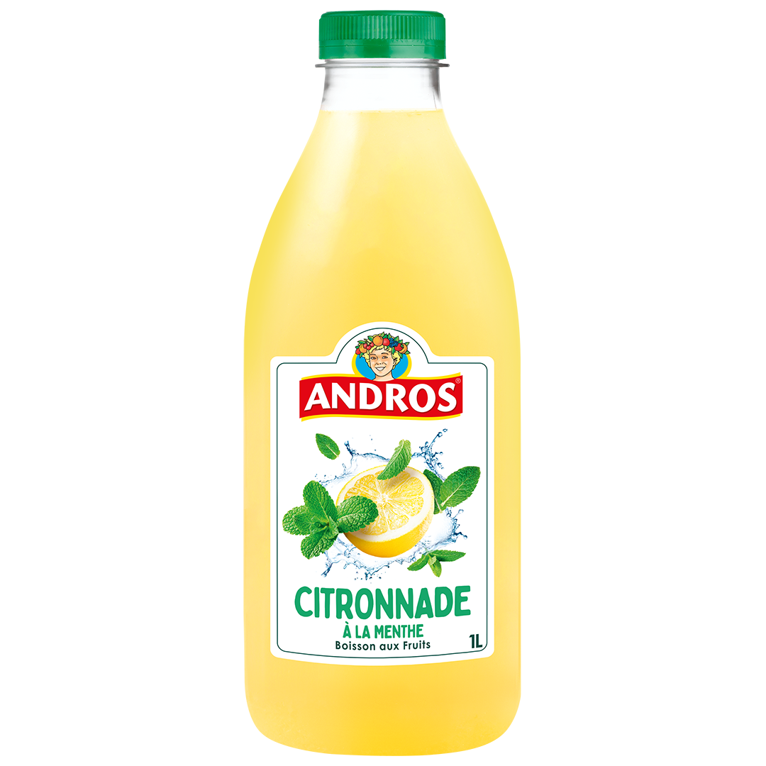 Citronnade à la menthe Andros