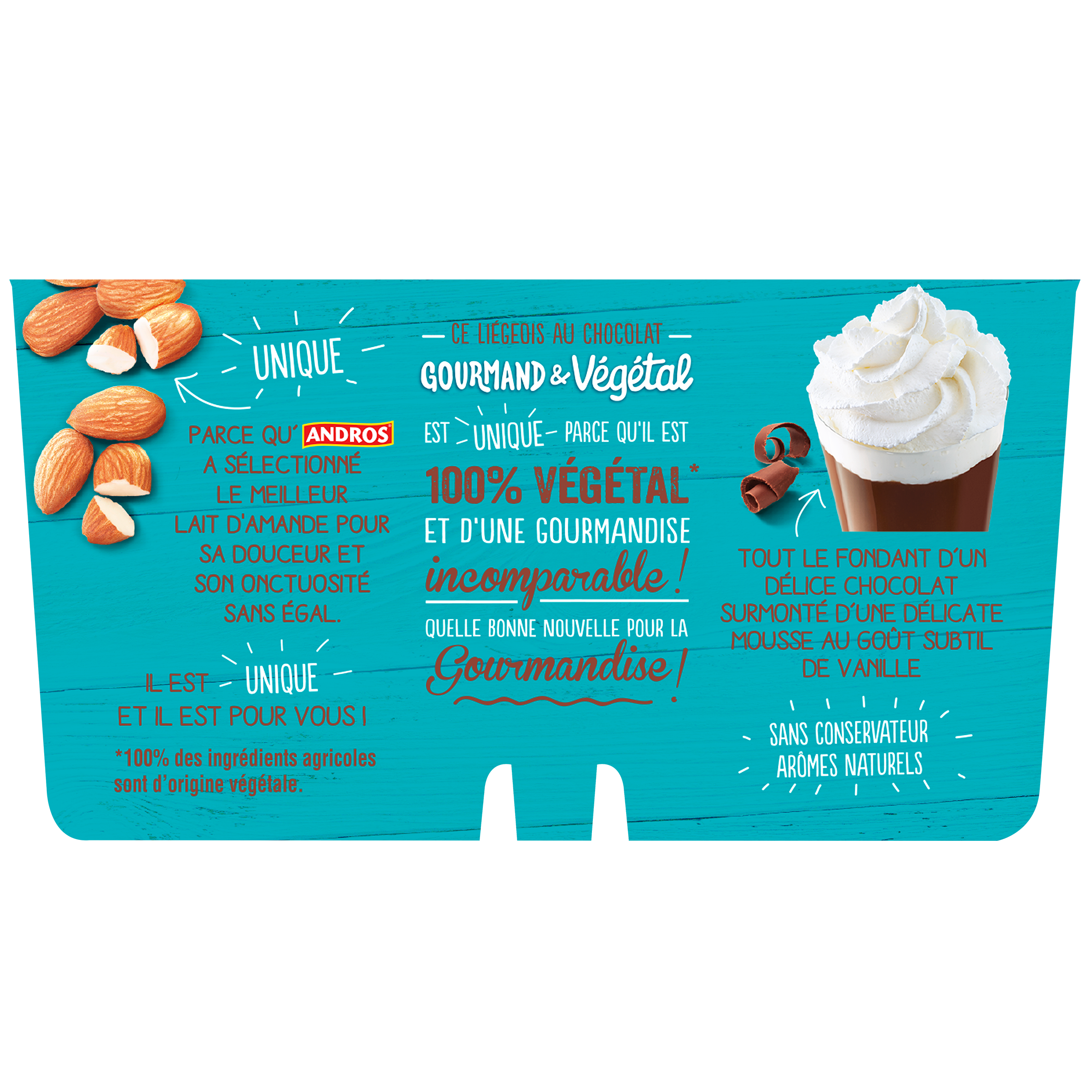 Liégeois au chocolat Andros Gourmand & Végétal