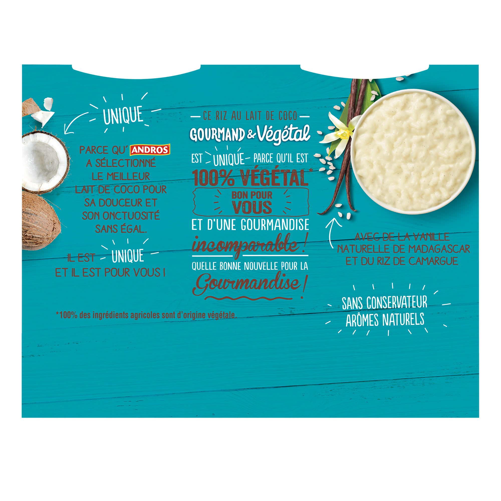 Riz au lait à la vanille de madagascar Andros Gourmand & Végétal