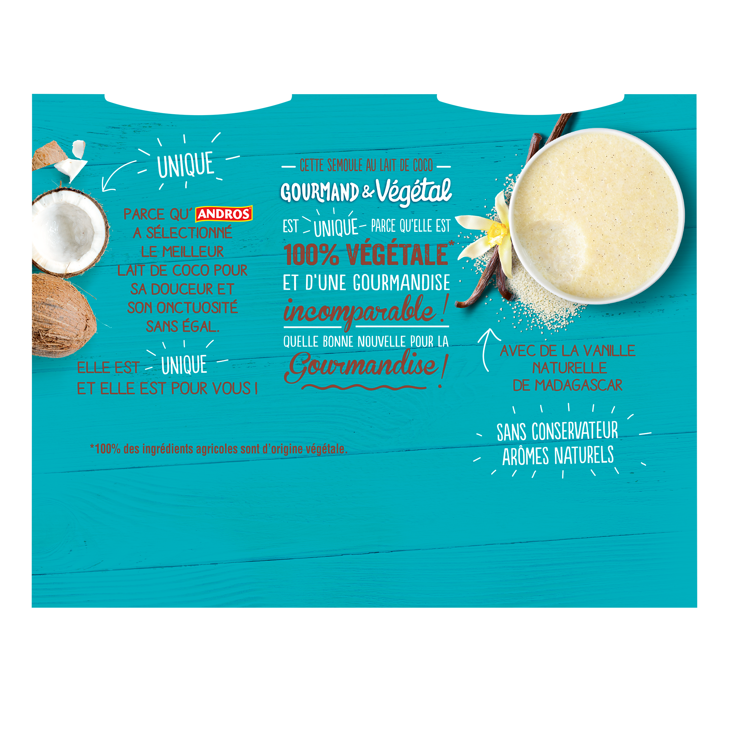 Semoule au lait de coco à la vanille Andros Gourmand & Végétal