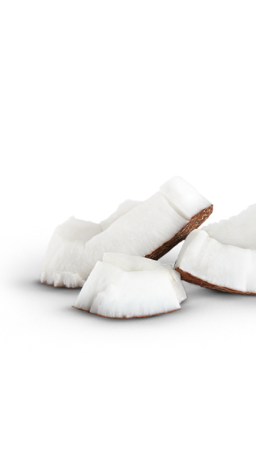 Copeaux de noix de coco