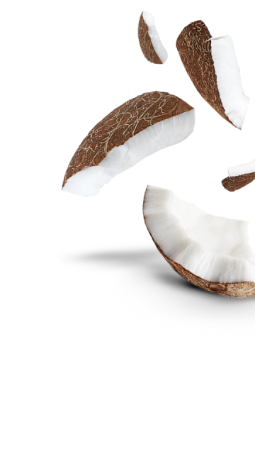 Copeaux de noix de coco