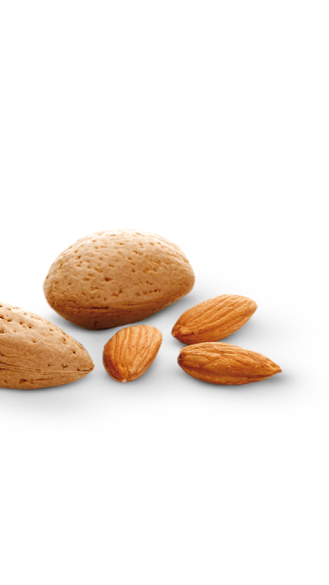 Amandes