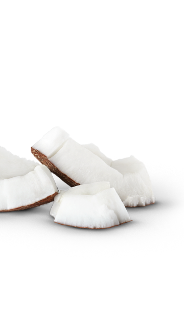 Copeaux de noix de coco