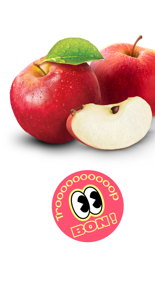 Dessert fruitier sans morceaux pomme – Andros