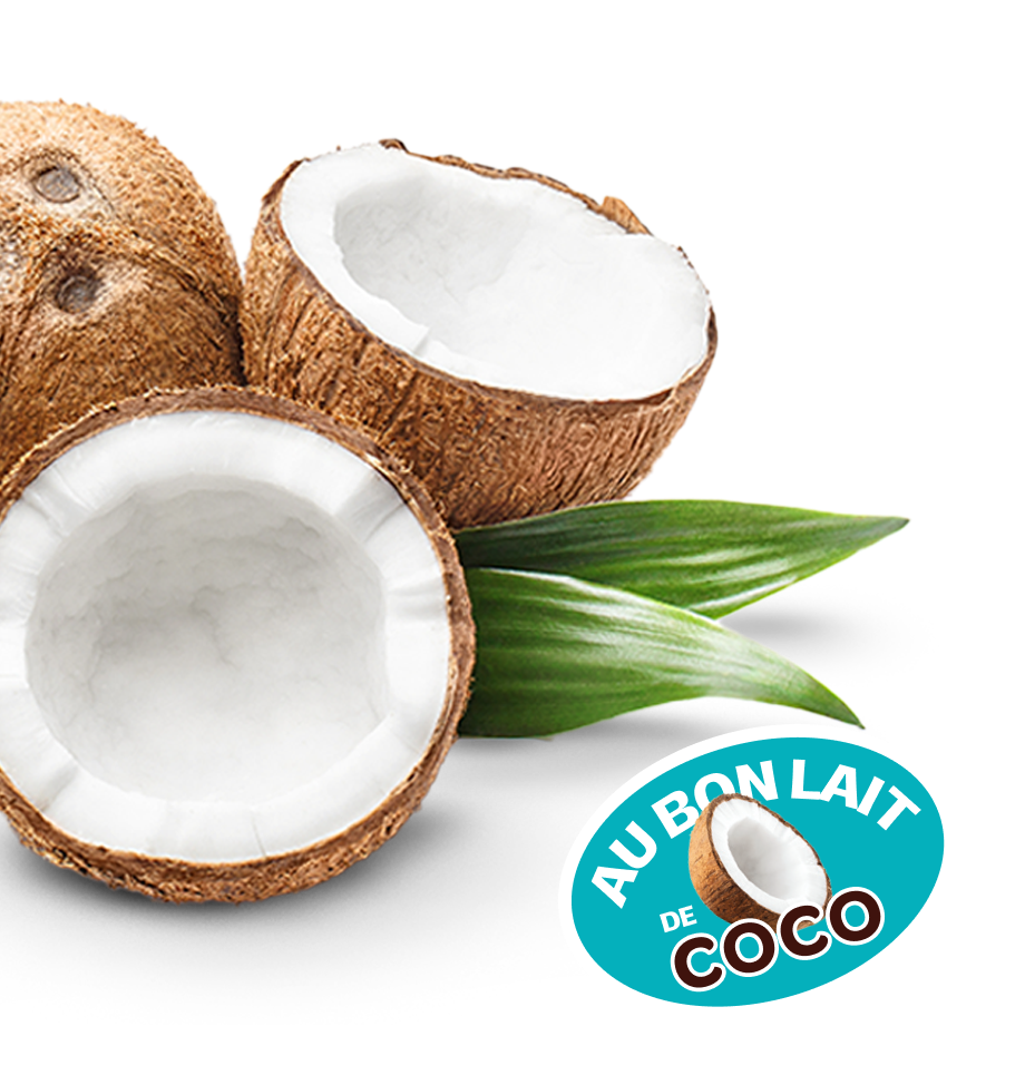 Noix de coco