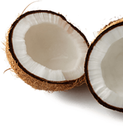 Noix de coco