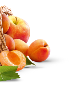 Abricot & pomme